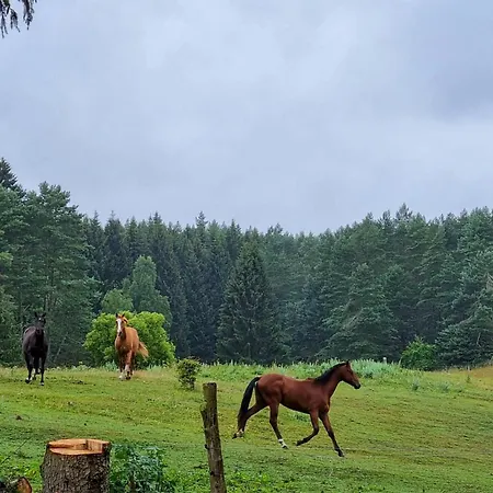 Gorgeous In Ot Goritz Holiday home Wardow